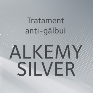 ALKEMY SILVER
