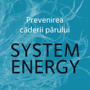 SYSTEM ENERGY